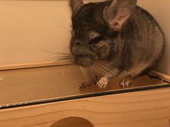 -龙猫仔乐园(惠福东路店)