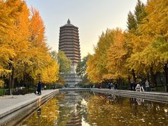 -玲珑塔公园