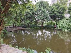 -成都市活水公园