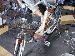 -永久自行车旗舰店(上海No.001店)