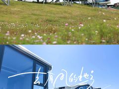 -龙里油画大草原旅游区