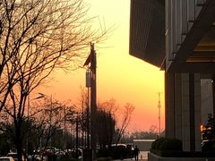 -和悦日料(雅颂庭店)