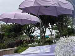 -光明港公园