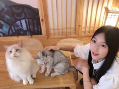 -猫にゃん · 猫的隐藏屋猫咖(麦地旗舰店)