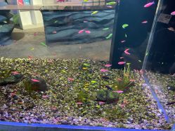 -酷嗒动物文化乐园(cutezoo西溪乐天城店)