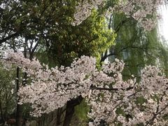 -玉山公园