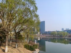 -大兴滨河森林公园