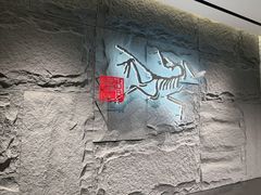 -ARC'TERYX始祖鸟(北京王府中环店)