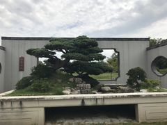 -盆景园(扬州大运河文化旅游度假区)