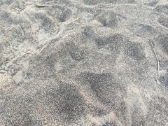 -敦煌雅丹国家地质公园