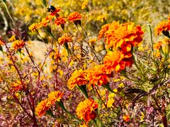-云峰山自然风景区