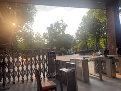 -成飞公园