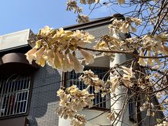 -福建医科大学附属第一医院(茶亭院区)