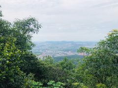 -紫金山山顶公园