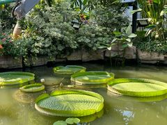 -中国科学院华南植物园