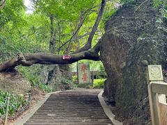 -窦圌山风景区