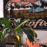 廊坊探店｜一家可以用0卡糖的柠檬茶店冀柠