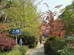 -成都市活水公园