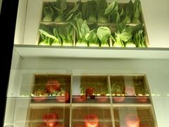 -夫妻肺片·中华老字号·正宗川菜(春熙路店)