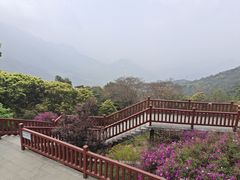 -广州市石门国家森林公园