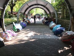 -人民公园-相亲角