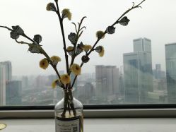 -汐月Health纤体spa中心