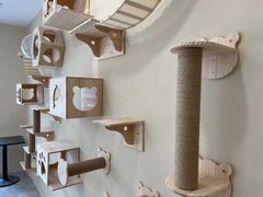 -猫力发电所·宠物专门店