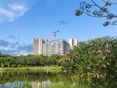 -福田红树林生态公园