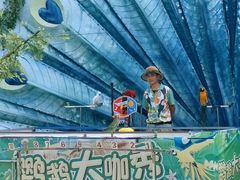 -灵玲国际马戏城