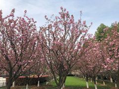 -湖北工业大学-图书馆