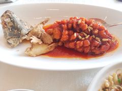 -上海和平饭店龙凤厅 Dragon Phoenix