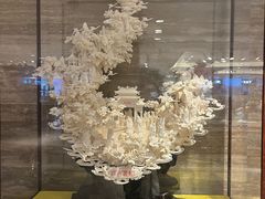 -广州白天鹅宾馆