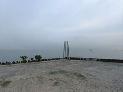 -上海滨江森林公园