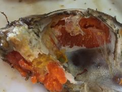 -莲花公园煎蟹(总店)