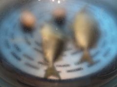 -青蓬蒸汽海鲜·深圳老字号·团建聚会(壹方城店)