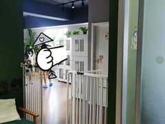 -东方名猫馆·英短金渐层布偶猫舍(环线广场1号楼店)