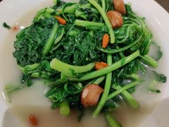 -锦粤宫·精致粤菜(深圳北站店)