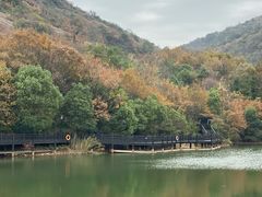 -白马涧龙池景区