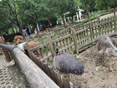 -南昌动物园