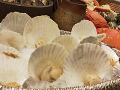 扇贝-北京北辰洲际酒店啡扬咖啡厅·自助餐厅