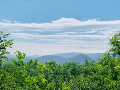 -阳台山自然风景区