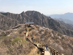 -大岭沟猕猴桃谷风景区