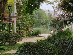 -金山公园