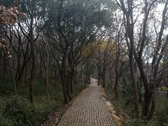 -苏州上方山国家森林公园