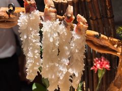 -蟹犇前•帝王蟹雪蟹(陆家嘴店)