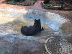 -昆明动物园