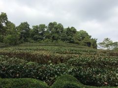 -东部华侨城
