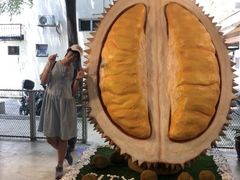 -都念榴莲·城市榴莲