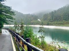 -武陵山森林公园