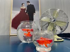 -海马体照相馆(环贸iapm大师爱情店)